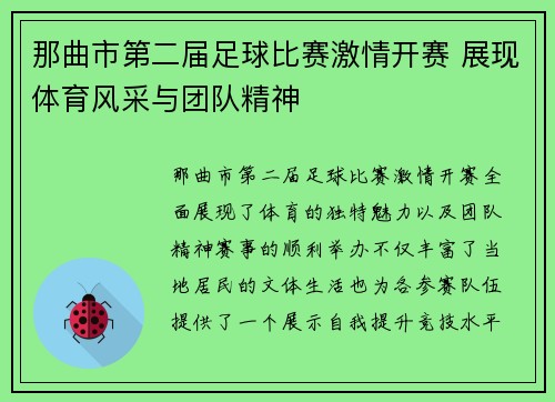 那曲市第二届足球比赛激情开赛 展现体育风采与团队精神