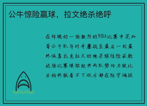 公牛惊险赢球，拉文绝杀绝呼